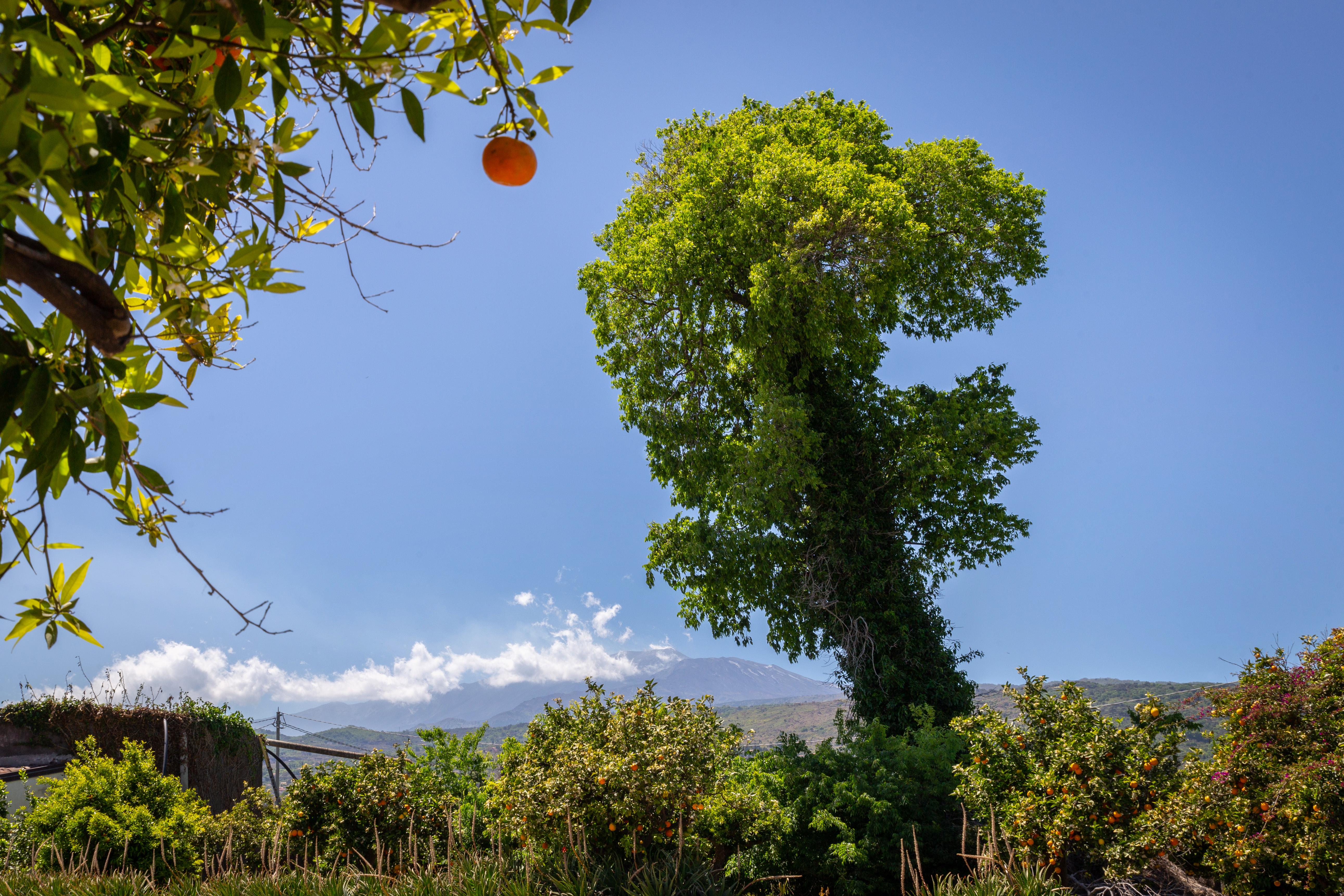 La Terra Dei Sogni Country Hotel Fiumefreddo di Sicilia Exterior foto